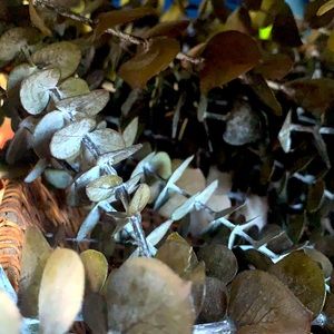 Meet your Posher, Maggie